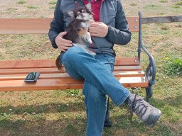 whatsapp image 2026-04-12 at 09.09.28 1